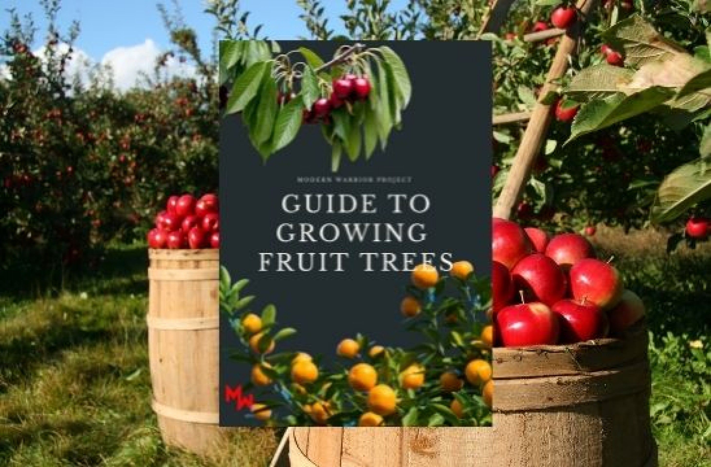 MWP Guide To Growing Fruit Trees